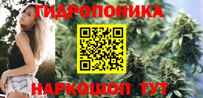бутират Гусь-Хрустальный