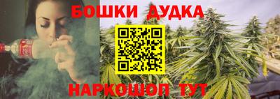 PSILOCYBIN Гусев
